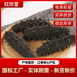 海參與鹽干海參 品味海洋的精華