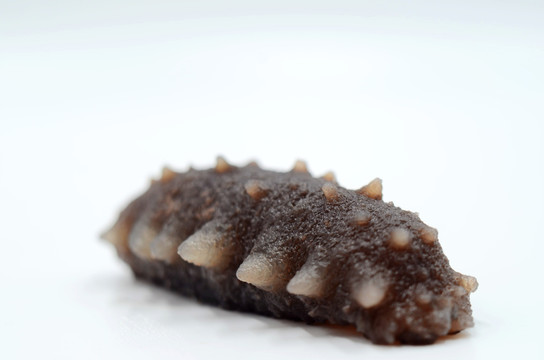 鮮海參與即食海參 營養價值與食用方法全解析